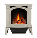Napoleon 24 Inch Bayfield Cast Iron Free Standing Direct Vent Gas Stove