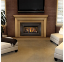 Napoleon Inspiration Traditional Style Zero Clearance Direct Vent Gas Fireplace