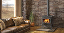 Napoleon Timberwolf Economizer 2100 Wood Burning Stove