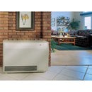 Empire DV20E 37-inch Gas Furnace