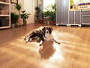 Stone Composite LVP Flooring 9.5mm  (5-pack)