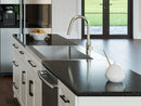 Pull Down Double Action Spray Faucet