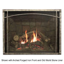 Empire 50 Inch Rushmore Clean Face Direct Vent Gas Fireplace With Blower