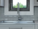 Pro Double Action Spray Flex Pull-Down Faucet