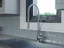 Pro Double Action Spray Flex Pull-Down Faucet