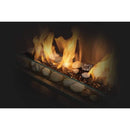 Napoleon - Galaxy 51" See Through Outdoor Linear Vent Free Gas Fireplace