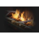 Napoleon - Galaxy 51" See Through Outdoor Linear Vent Free Gas Fireplace