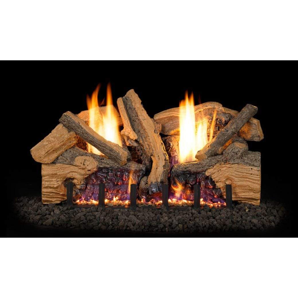 Master Flame Elite Gemini See-Thru Natural Gas Burner with Millitov Ready  Valve and Aged Oak Log Set