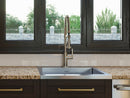 Pro Double Action Spray Flex Pull-Down Faucet