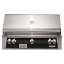 Alfresco 42" Jet Black Built-In Gas Grill with Rotisserie, Smoker & LED Controls

