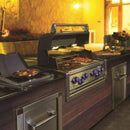 Broil King 31" Imperial S 490 Built-In 4-Burner Gas Grill with Rotisserie & Side Burner