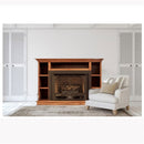 Buck Stove Vent Free Gas Stove