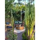 EcoSmart Fire 39" Ark 40 Outdoor Fire Pit Table with Gas LP/NG Burner – Stylish High-Heat Stainless Steel Base by Mad Design Group