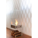 EcoSmart Fire 43" Ghost Freestanding See-Through Designer Fireplace with AB3 Burner by Mad Design Group
