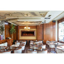 EcoSmart Fire 60" EL60 Electric Fireplace Insert with Adjustable Flame & LED Lighting by Mad Design Group