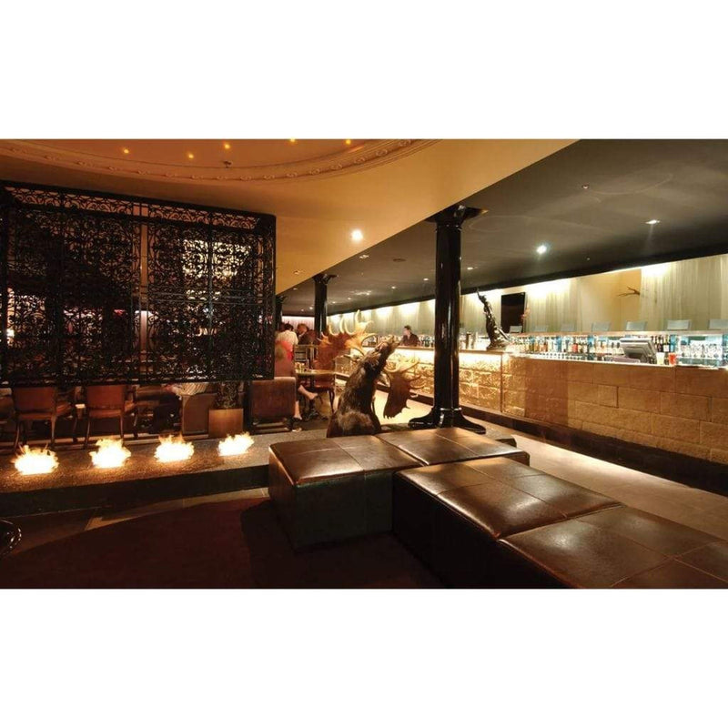 EcoSmart Fire BK5 16" Stainless Steel Ethanol Fireplace Burner with Flame Regulation by Mad Design Group