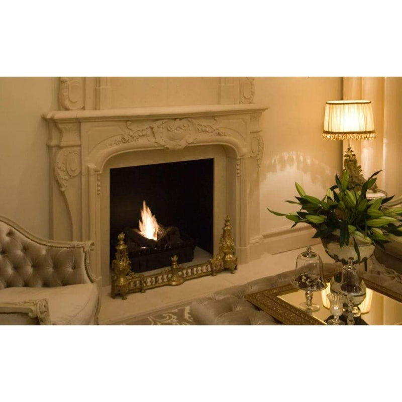 EcoSmart Fire BK5 16" Stainless Steel Ethanol Fireplace Burner with Flame Regulation by Mad Design Group