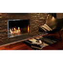 EcoSmart Fire Flex 42SS 49" Black Single Sided Ethanol Fireplace Insert with Clean-Burning Stainless Steel Burner by Mad Design Group