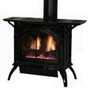 Empire Medium Spirit 28 Inch Cast Iron Direct Vent Gas Stove - 27000 BTU