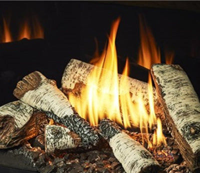 Heat & Glo Birch Log Set