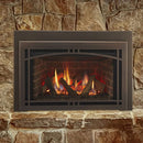 Majestic Ruby Direct Vent Energy Efficient Traditional 30 Inch Gas Fireplace Insert