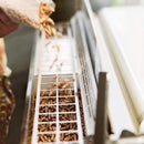 Memphis 60 lb. Cherry Wood Pellets – All-Natural Fruity Smoke for Beef, Pork & Poultry