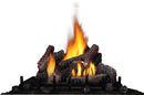 Napoleon - Riverside 42 Clean Face Outdoor Gas Fireplace