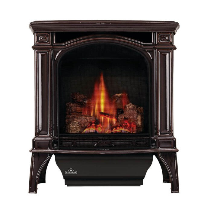 Napoleon 24 Inch Bayfield Cast Iron Free Standing Direct Vent Gas Stove