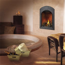 Napoleon 28 Inch Park Avenue Direct Vent Gas Fireplace