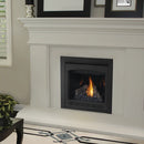 Napoleon Direct Vent 30 Inch Ascent B30 Zero Clearance Gas Fireplace