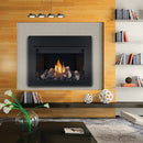 Napoleon 39 Inch Elevation X 36 indoor Direct Vent natural Gas Fireplace