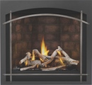 Napoleon 39 Inch Elevation X 36 indoor Direct Vent natural Gas Fireplace