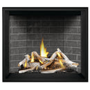 Napoleon 45 Inch Elevation E42 Charcoal Black Direct Vent Gas Fireplace