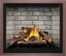 Napoleon 45 Inch Elevation E42 Charcoal Black Direct Vent Gas Fireplace