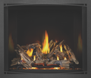 Napoleon 45 Inch Elevation E42 Charcoal Black Direct Vent Gas Fireplace