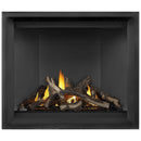 Napoleon 45 Inch Elevation X 42 Modern Indoor Direct Vent Natural Gas Fireplace