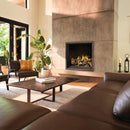 Napoleon 45 Inch Elevation X 42 Modern Indoor Direct Vent Natural Gas Fireplace