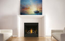 Napoleon Direct Vent 30 Inch Ascent B30 Zero Clearance Gas Fireplace