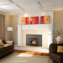 Napoleon EPI22 Wood Burning Insert