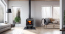 True North TN25C 22" Metallic Black Freestanding Wood Stove with Legs, EPA2020 Certified