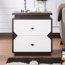 Nouvel Contemporary 2-Drawer End Table