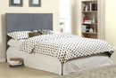 Ameena Contemporary Fabric Full/Queen Upholstered Headboard in Gray