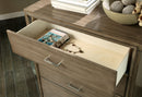 Hage Contemporary 5-Drawer Chest in Brown Cherry
