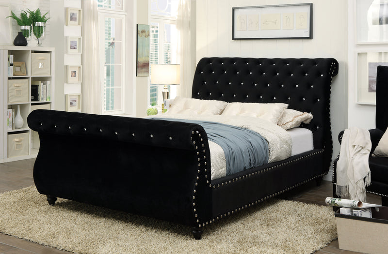 Shirley Transitional Fabric Queen Platform Bed in Black