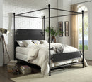 Beracco Transitional Metal Panel Bed in Queen