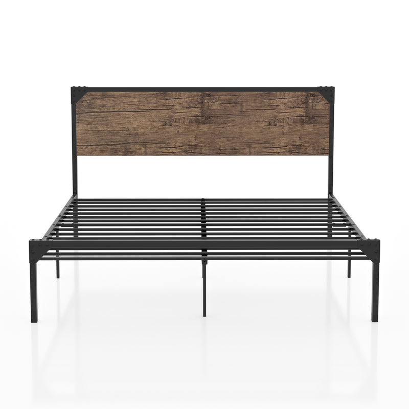 Budenholz Platform Queen Bed in Dark Brown