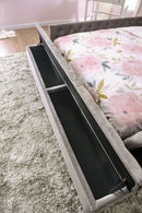Bonnee Transitional Tufted Queen Platform Bed in Gray