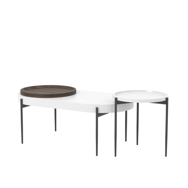 Hylen 2-Piece Coffee Table Set in White