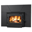 Napoleon EPI22 Wood Burning Insert