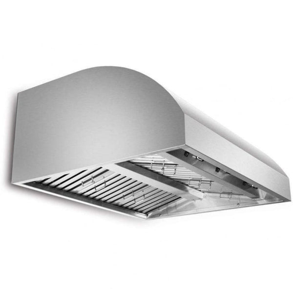 Blaze - 42" Stainless Steel Outdoor Wall-Mount Vent Hood